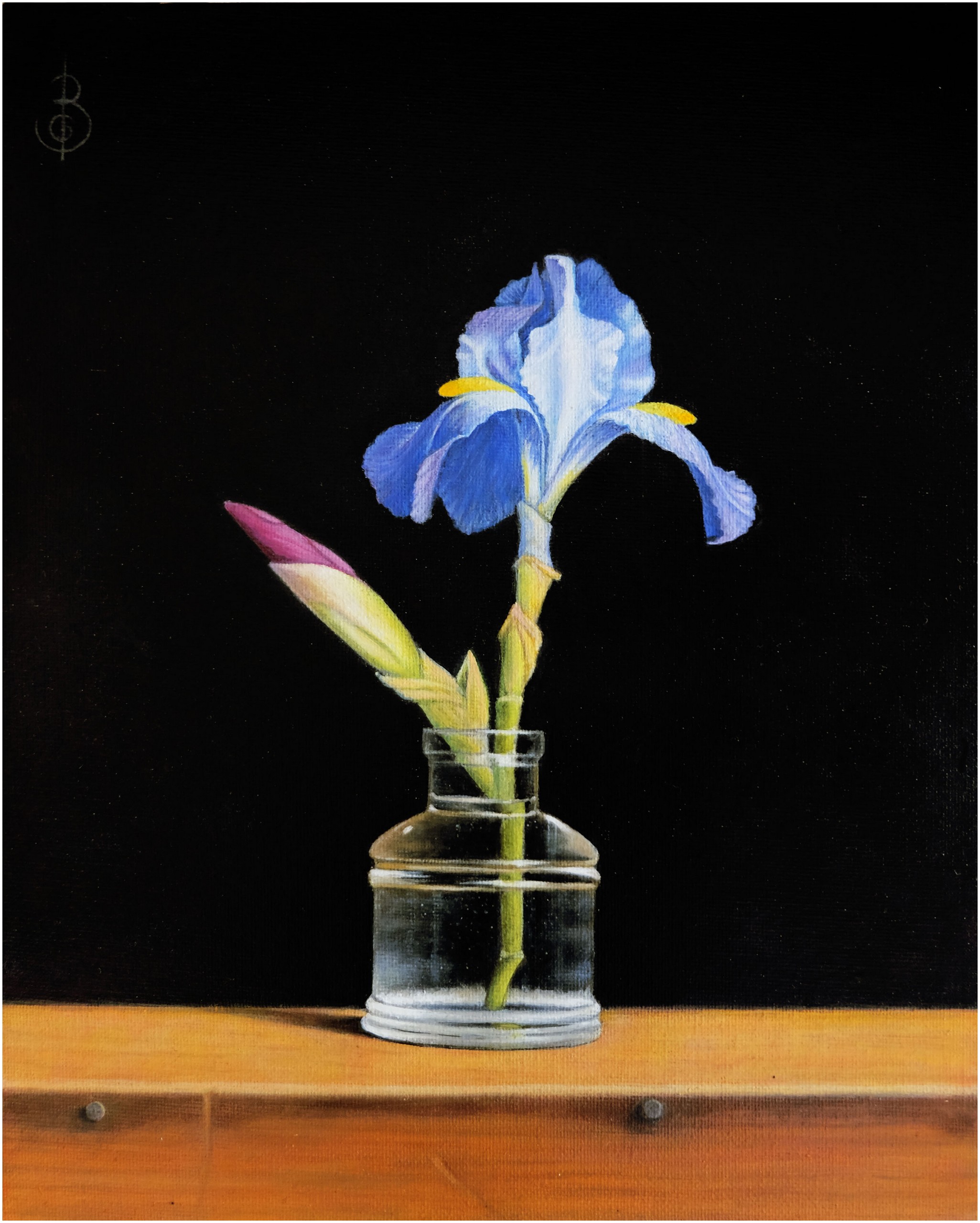 Iris (Libera interpretazione di un_opera di Sydney Bella Sparrow)